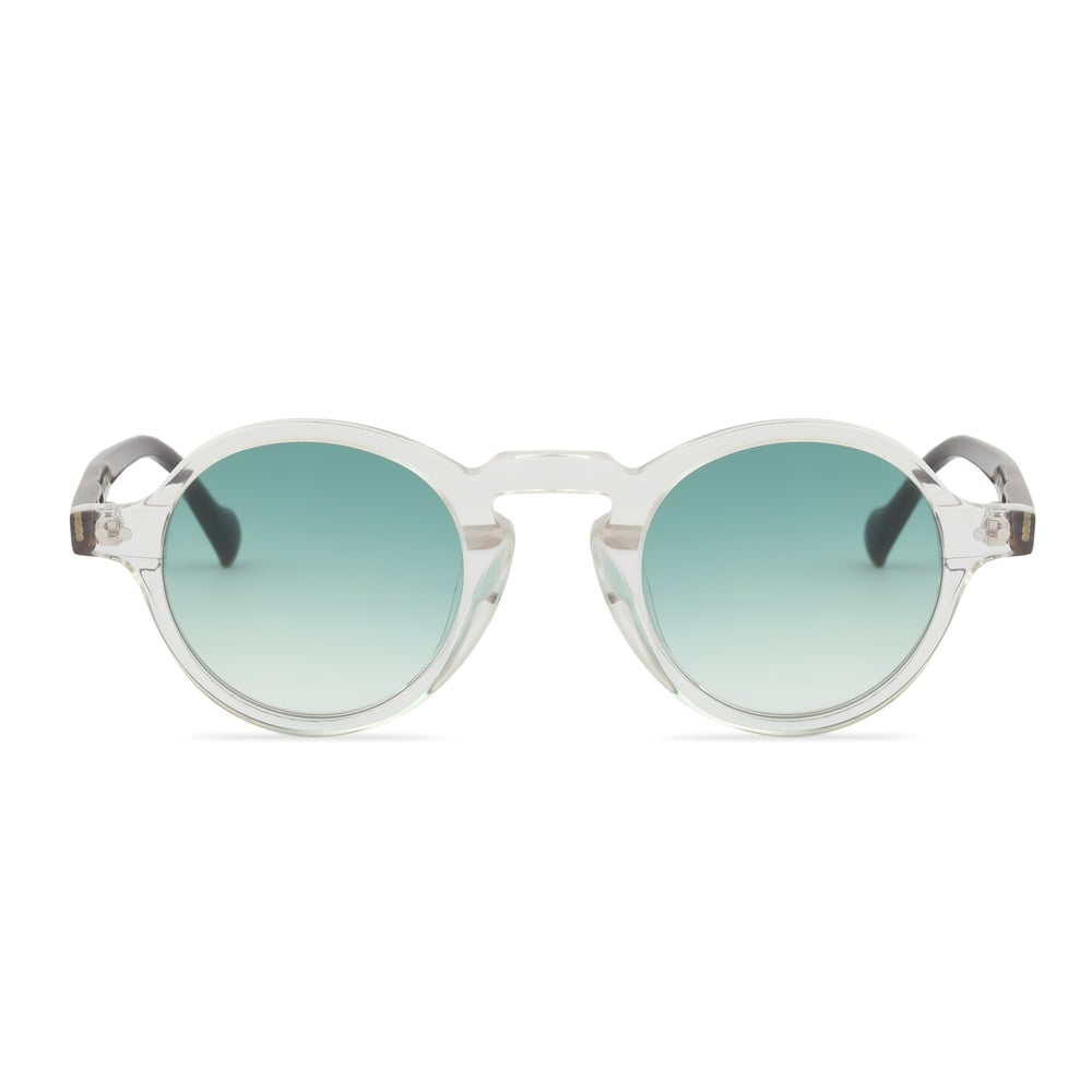 EDL Eyewear 8668 C004