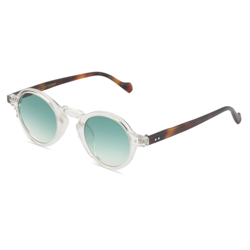 EDL Eyewear 8668 C004