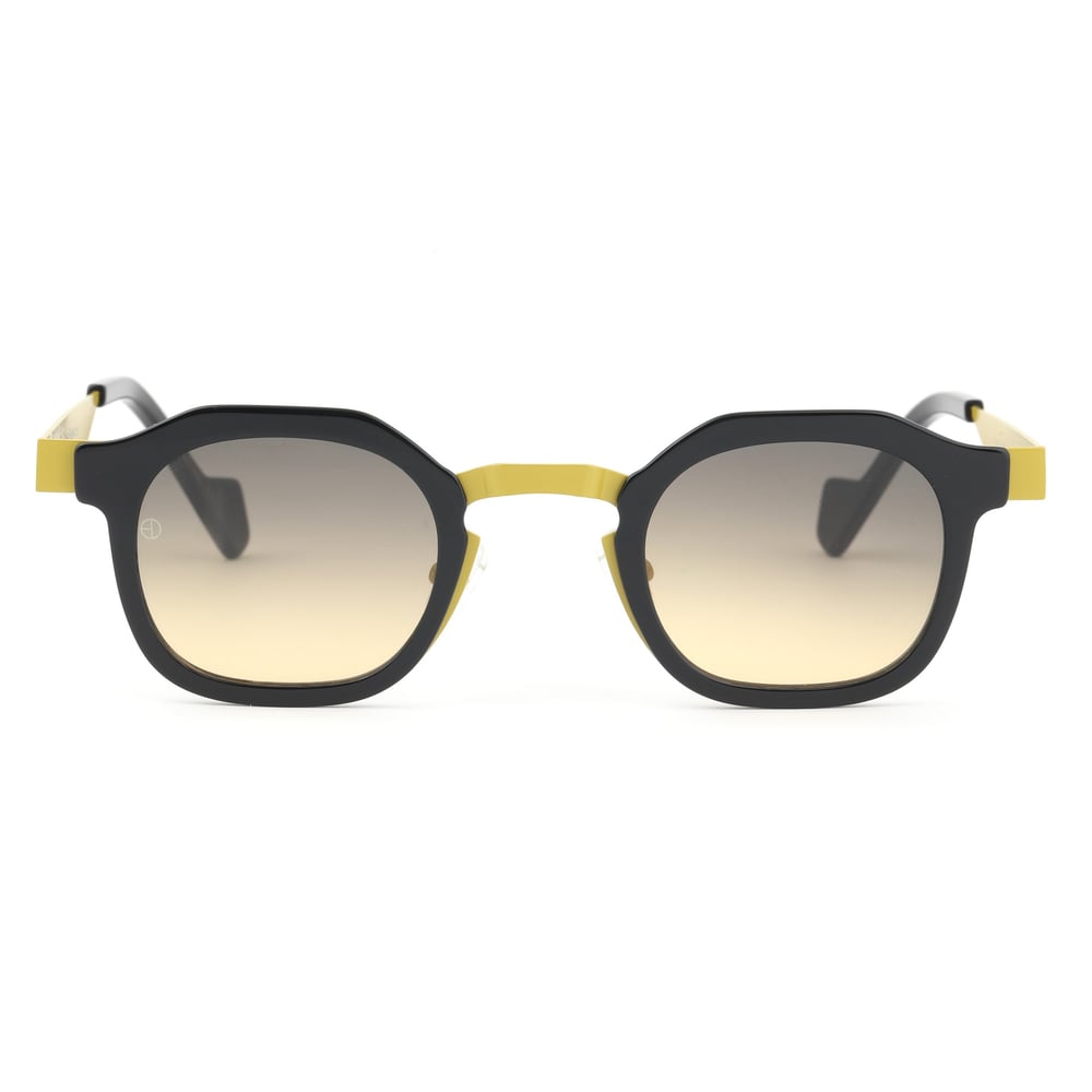 EDL Eyewear 8690 C001