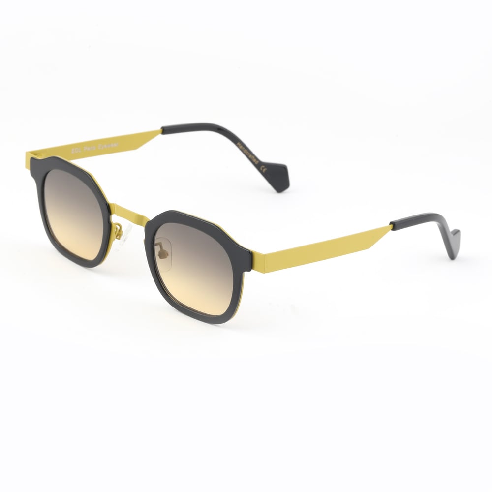 EDL Eyewear 8690 C001