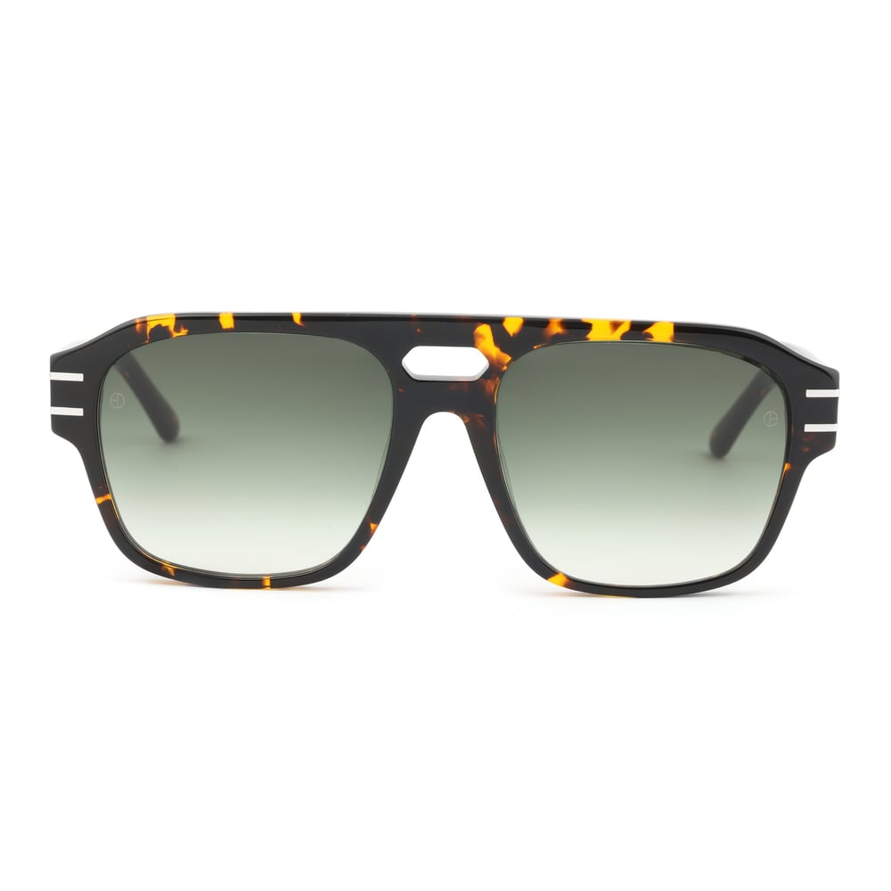 EDL Eyewear 8695 C002