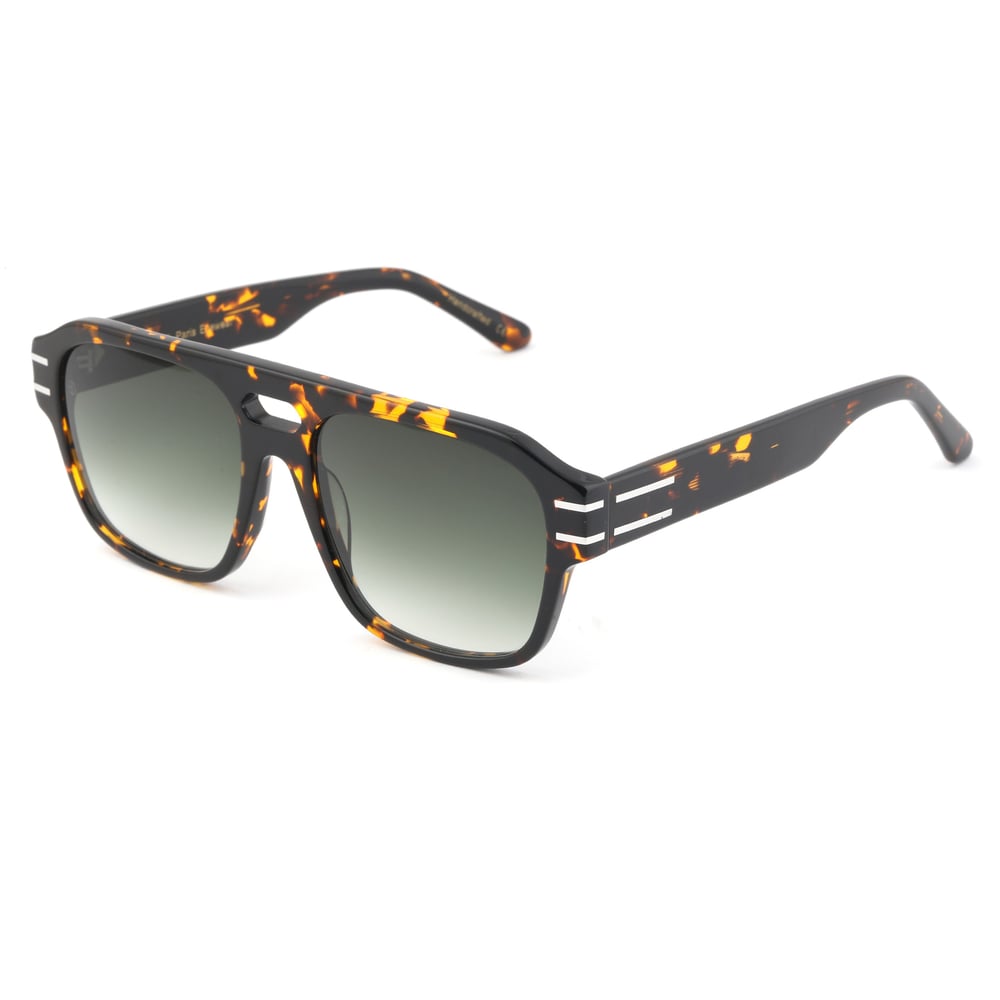EDL Eyewear 8695 C002