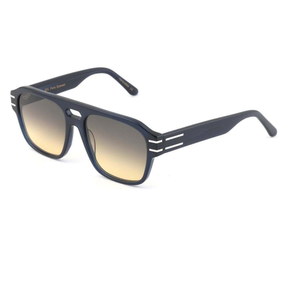 EDL Eyewear 8695 C003