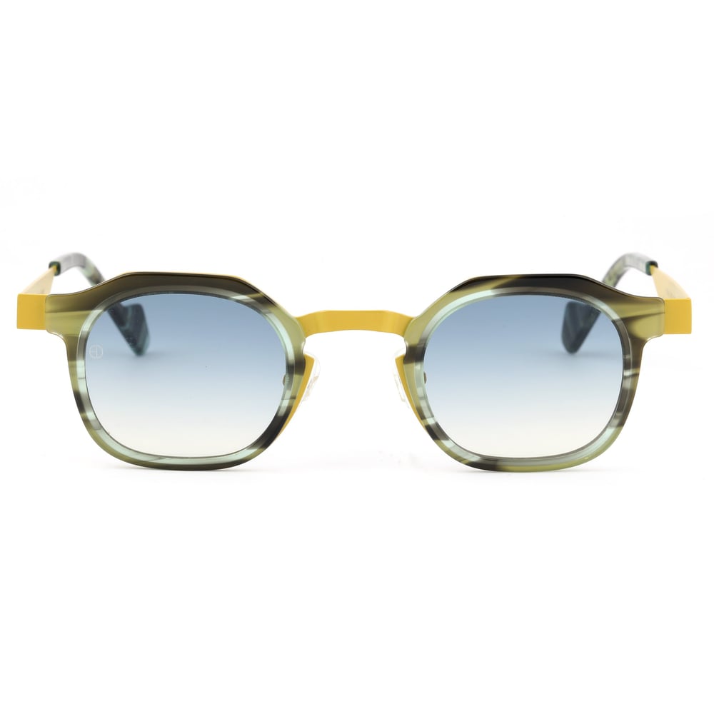 EDL Eyewear 8704 C003