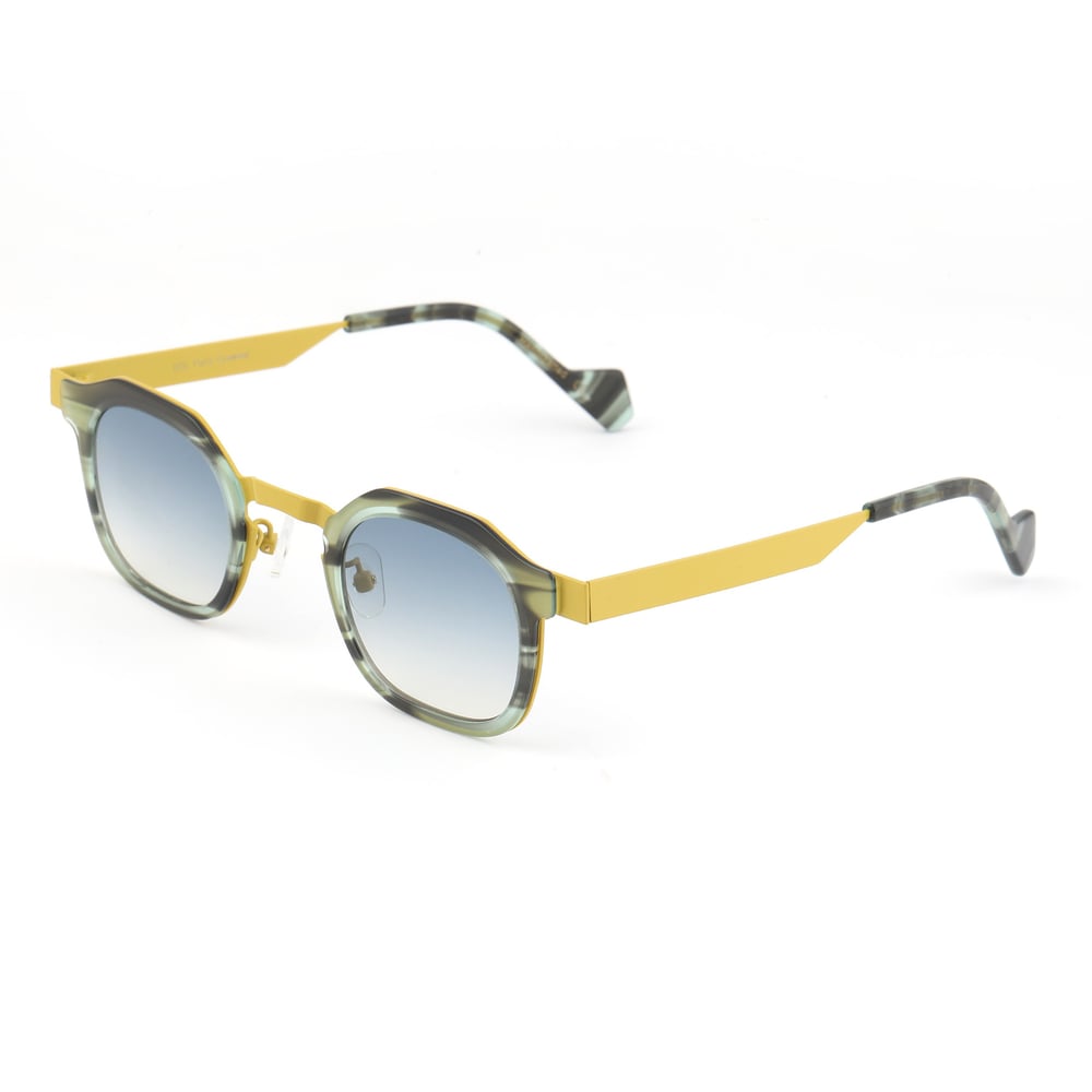 EDL Eyewear 8704 C003