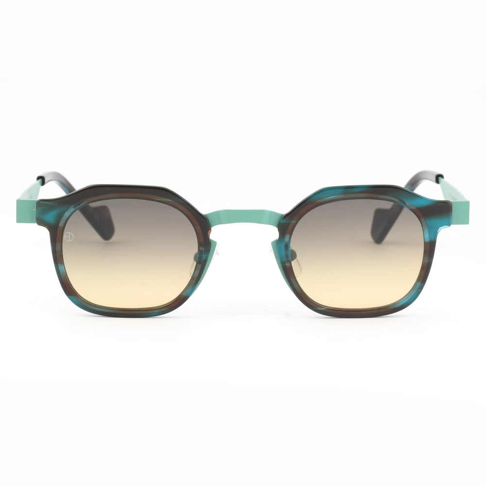 EDL Eyewear 8704 C004