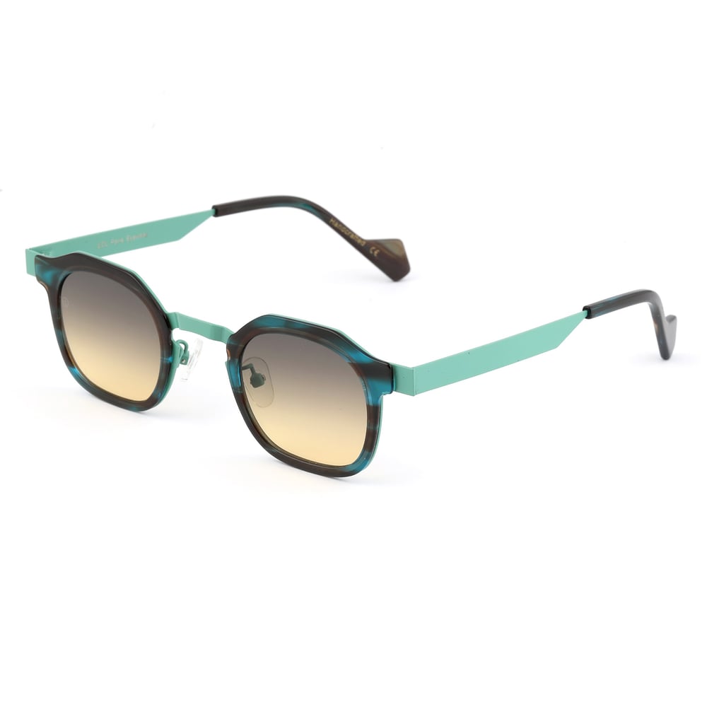 EDL Eyewear 8704 C004