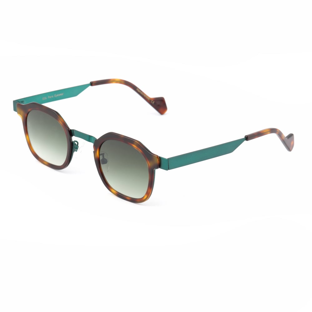 EDL Eyewear 8704 C006