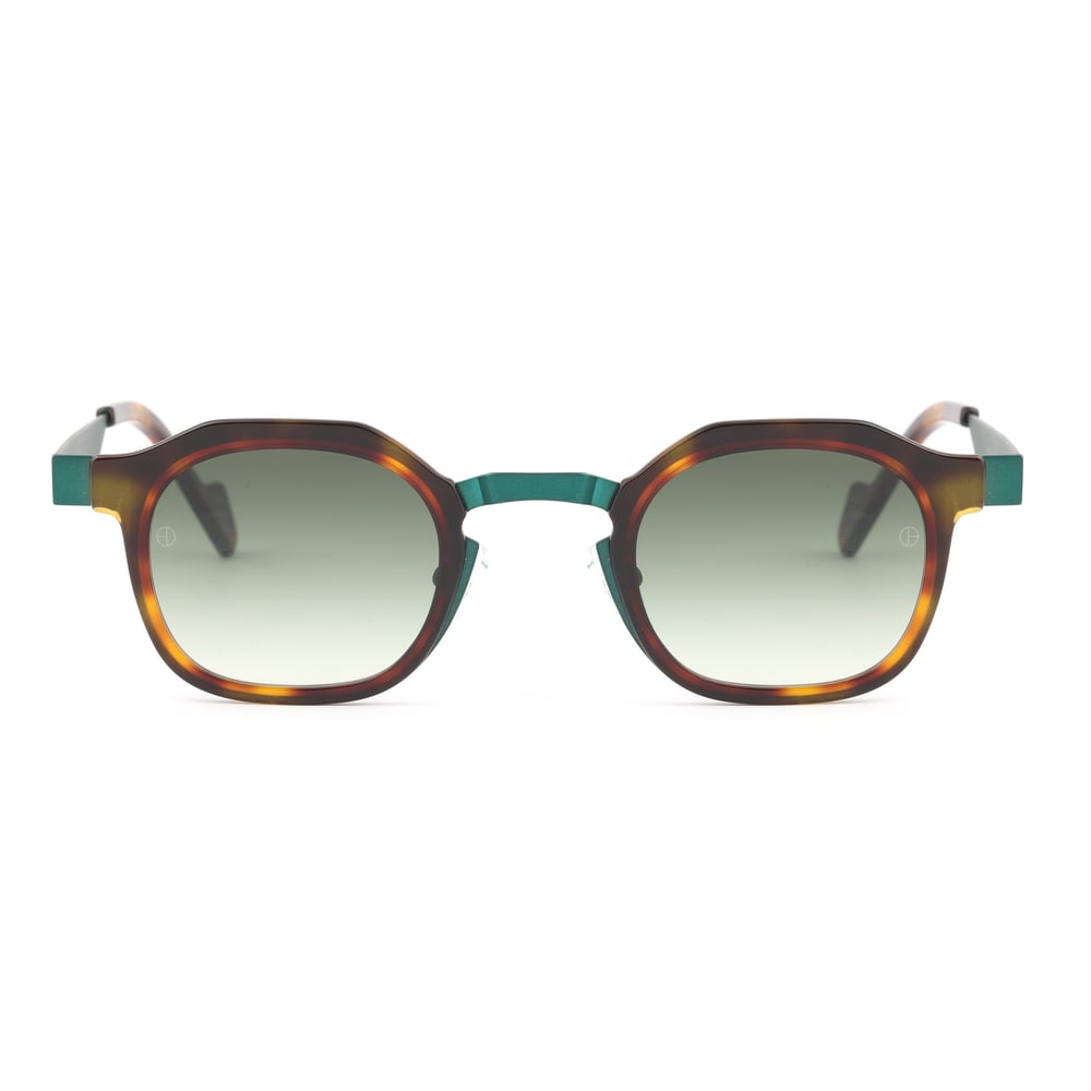 EDL Eyewear 8704 C006