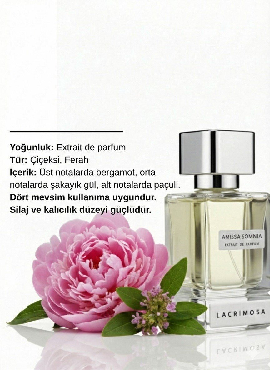 Amissa Somnia 50 ml Kadın Parfüm Çiçeksi & Ferah, Gül, Şakayık, Paçuli