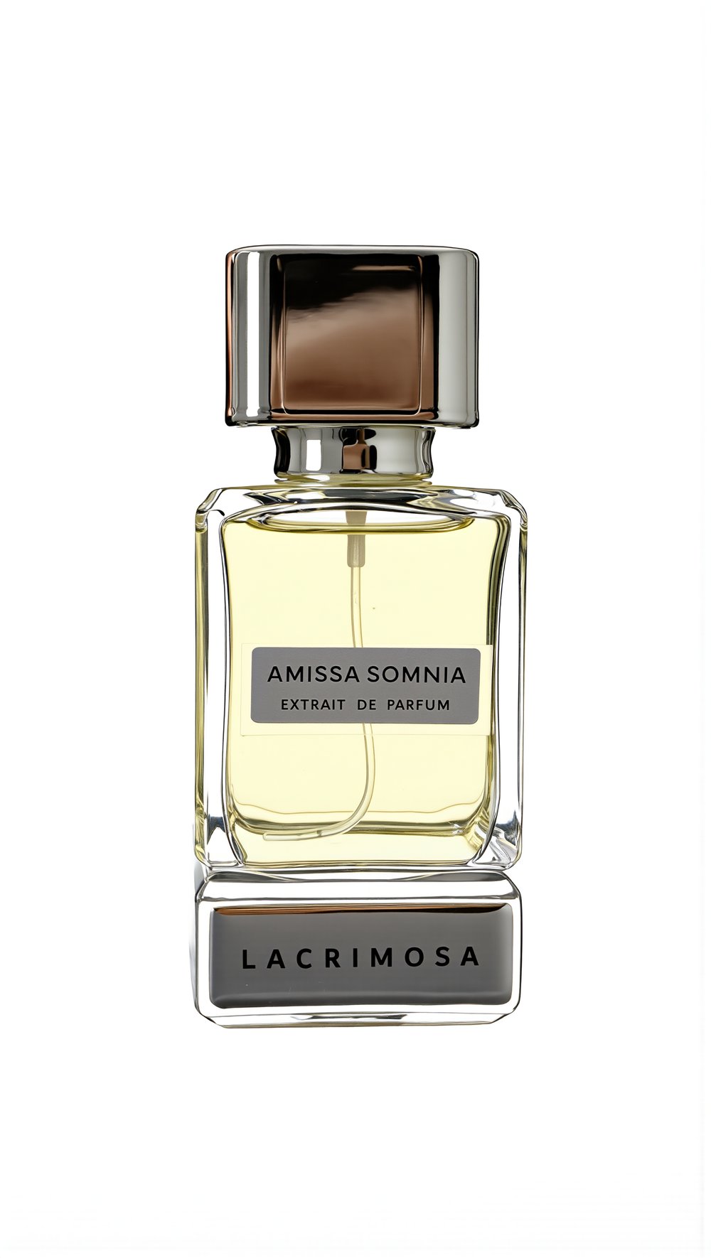 Amissa Somnia 50 ml Kadın Parfüm Çiçeksi & Ferah, Gül, Şakayık, Paçuli