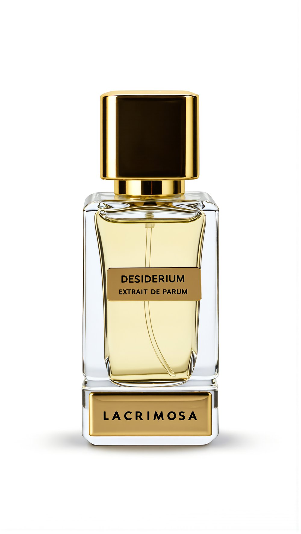 Desiderium 50 ml Erkek Parfüm Odunsu, Adaçayı, Amber, Sandal ağacı