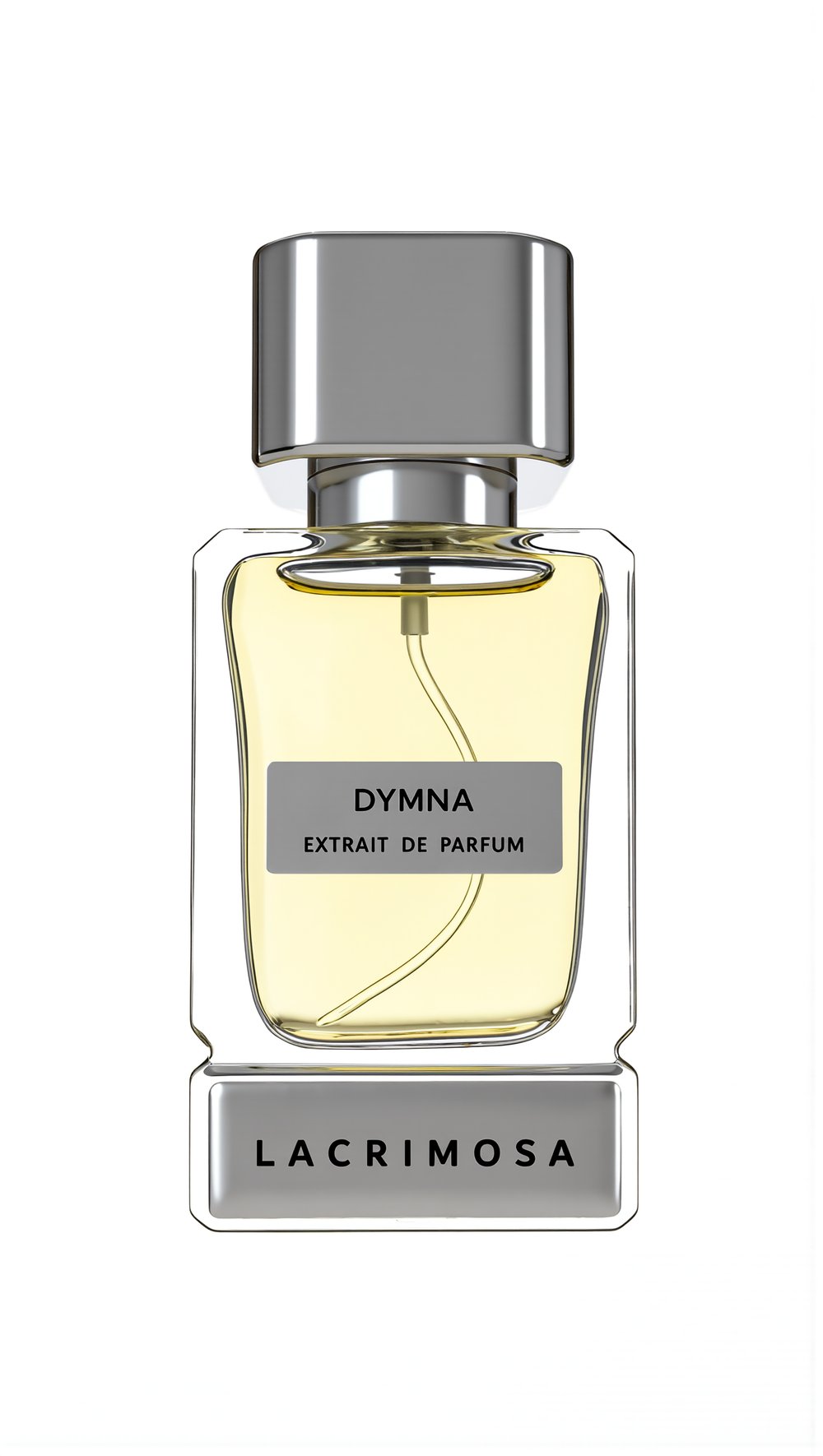 Dymna 50 ml Erkek Parfüm, Odunsu, İris, Amber, Tonka