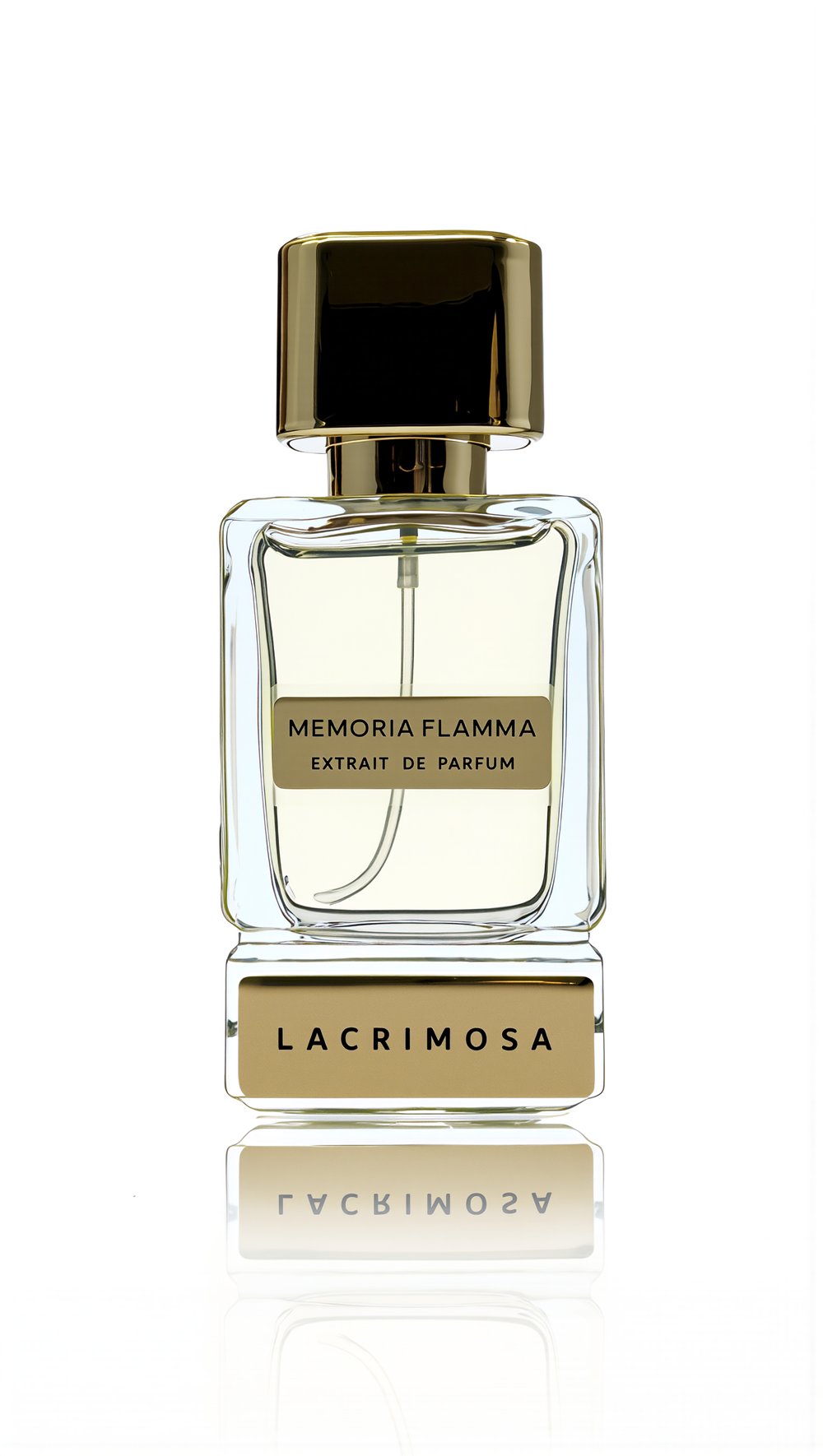 Memoria Flamma 50 ml Erkek Parfüm Odunsu Paçuli, Misk, Tonka, Ud