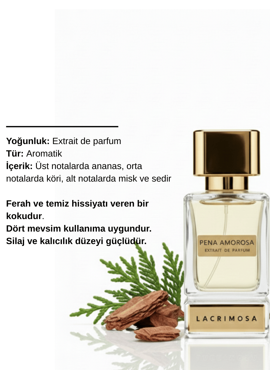 Pena Amorosa 50 ml Erkek Parfüm, Aromatik&Ferah, Ananas, Köri, Misk