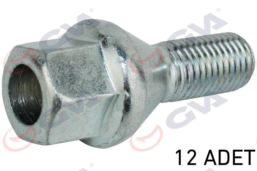 GVABijon Civatası Renault Megane-Clıo Y.M. Dacıa Duster-Logan Delikli Tip Paket 12GVA 8810126