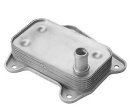 BSGMercedes W203 Kasa C220 Cdi Motor Yağ Soğutucusu Bsg Marka A6111880301A6111880301
