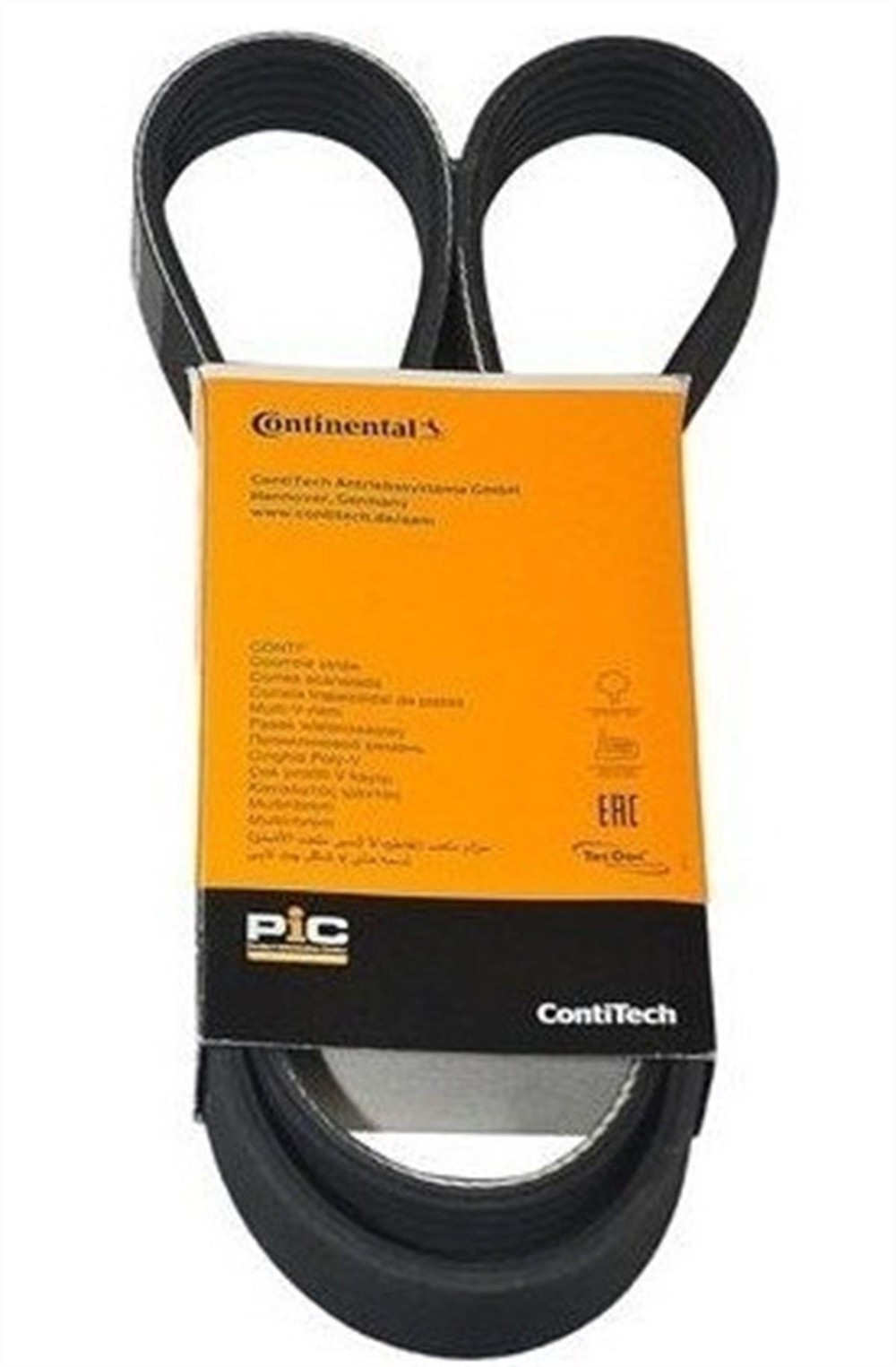 Volkswagen Golf 5 2004-2008 Model 1.6 FSI Motor V Kayışı Continental Marka 6Q0260849A