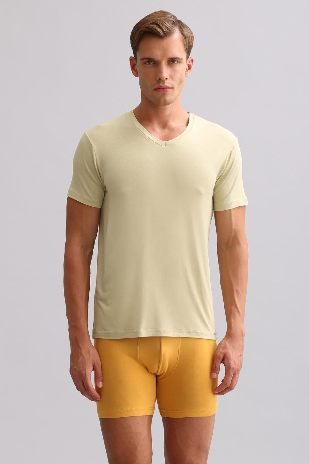 Mısırlı BAMBU ZEUS LUXURY Regular Fit V Yaka Fanila / T-Shirt Haki Ada