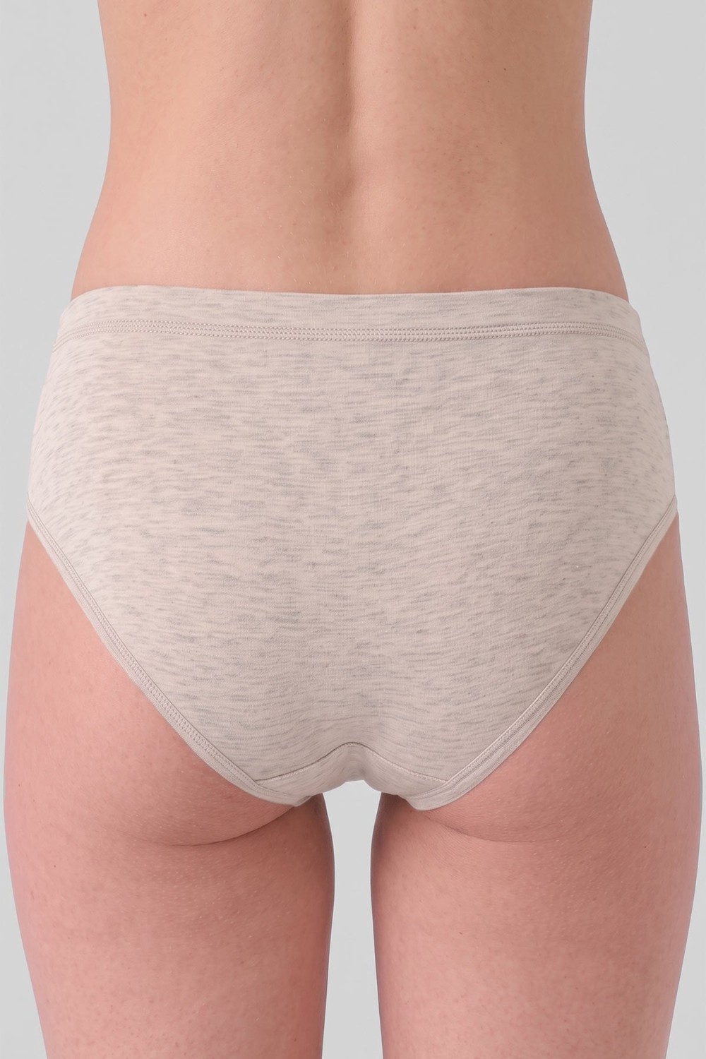 Mısırlı Kadın Gümüş Brief Slip Gri Melanj