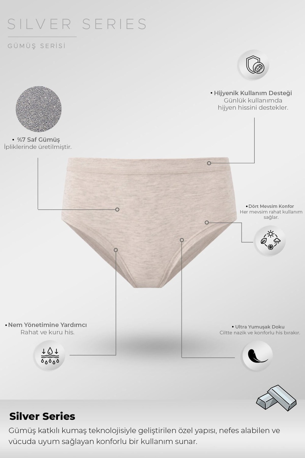 Mısırlı Kadın Gümüş Brief Slip Gri Melanj