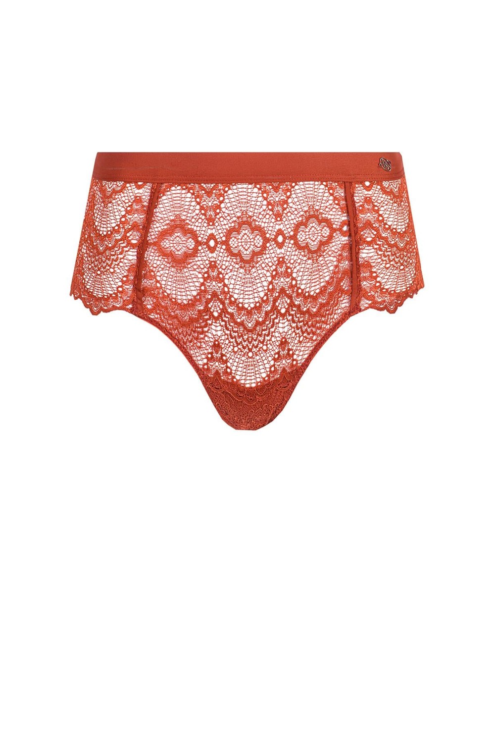 Flame Hıgh Waist Briefs