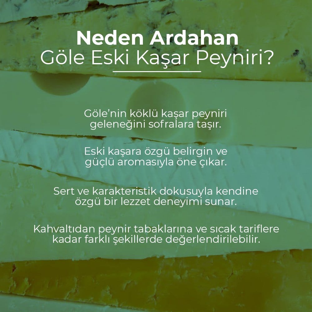 Ardahan Göle Eski Kaşar Peyniri