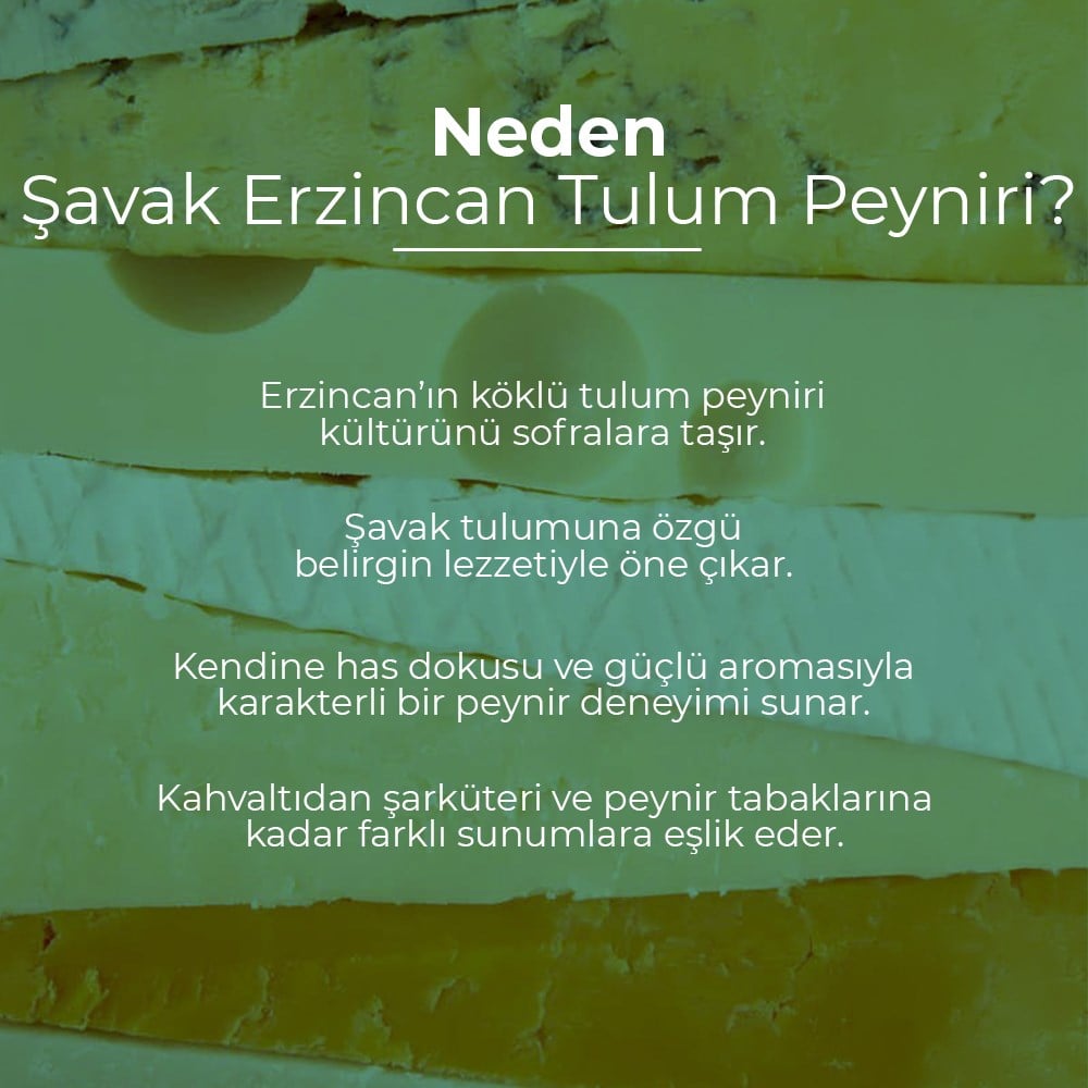 Vafi Erzincan Tulum Peyniri