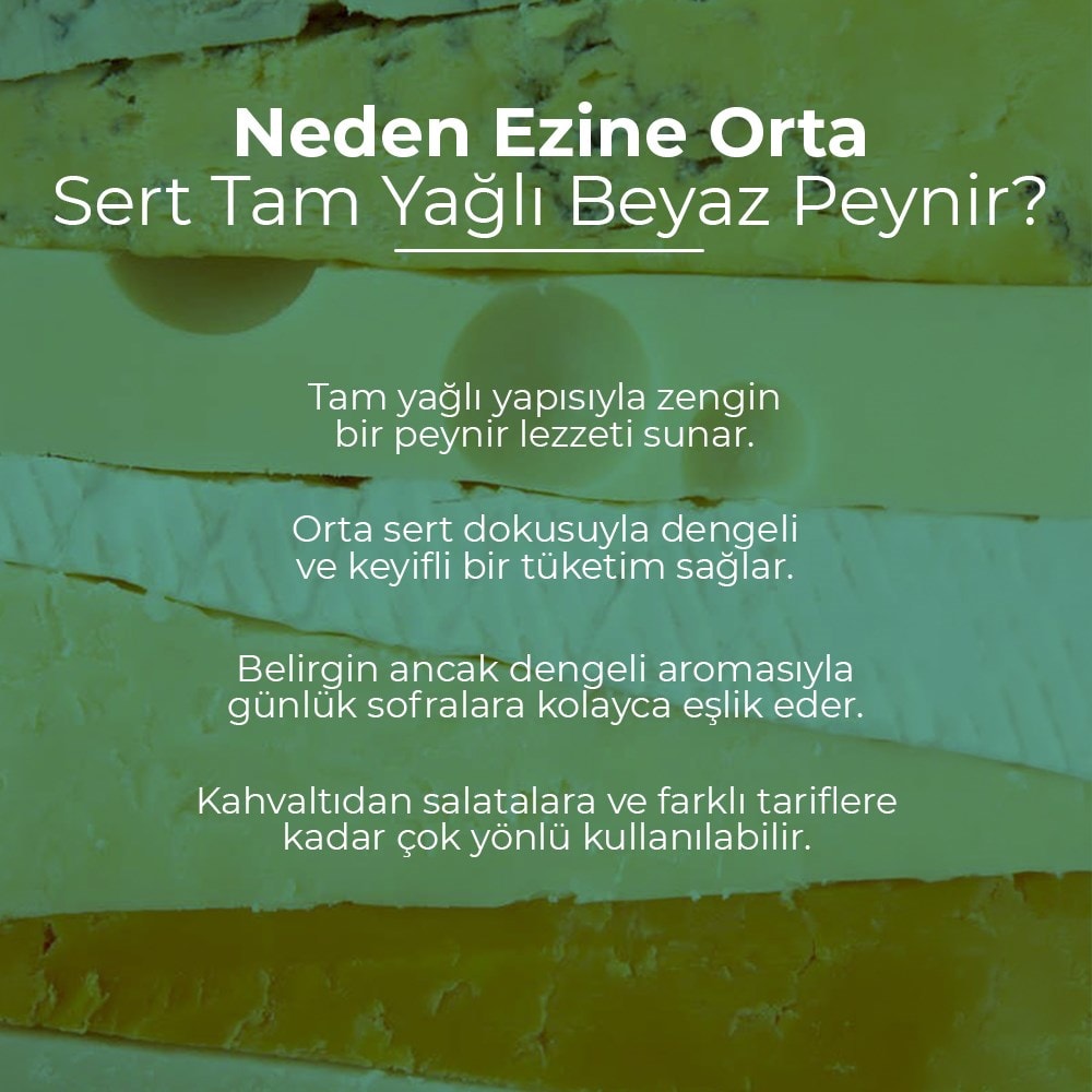 Vafi Ezine Orta Sert Tam Yağlı Beyaz Peynir 
