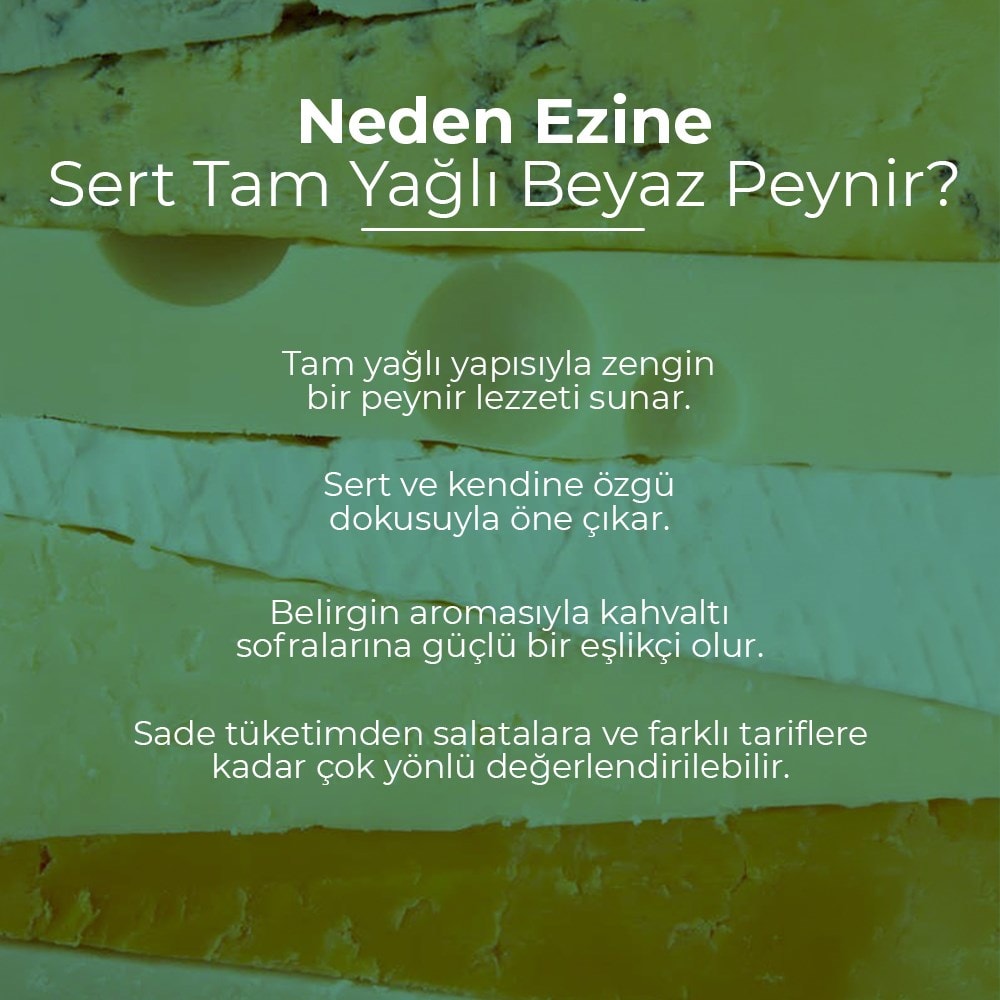 Vafi Ezine Sert Tam Yağlı Beyaz Peynir