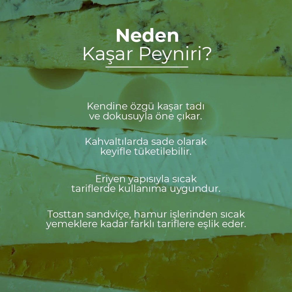 Vafi Kaşar Peyniri 600 gr