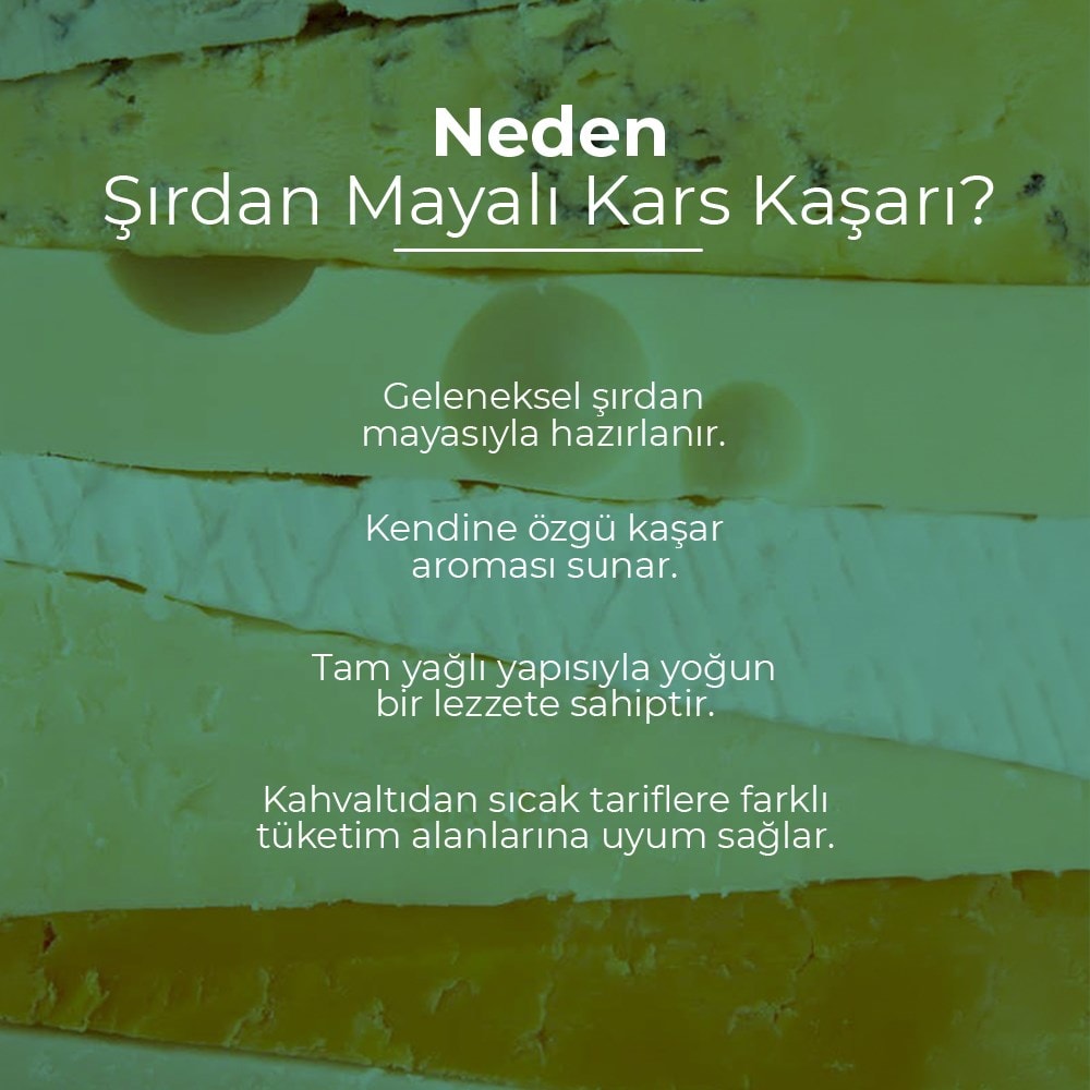Vafi Şırdan Mayalı Kars Kelle Kaşar Peynir