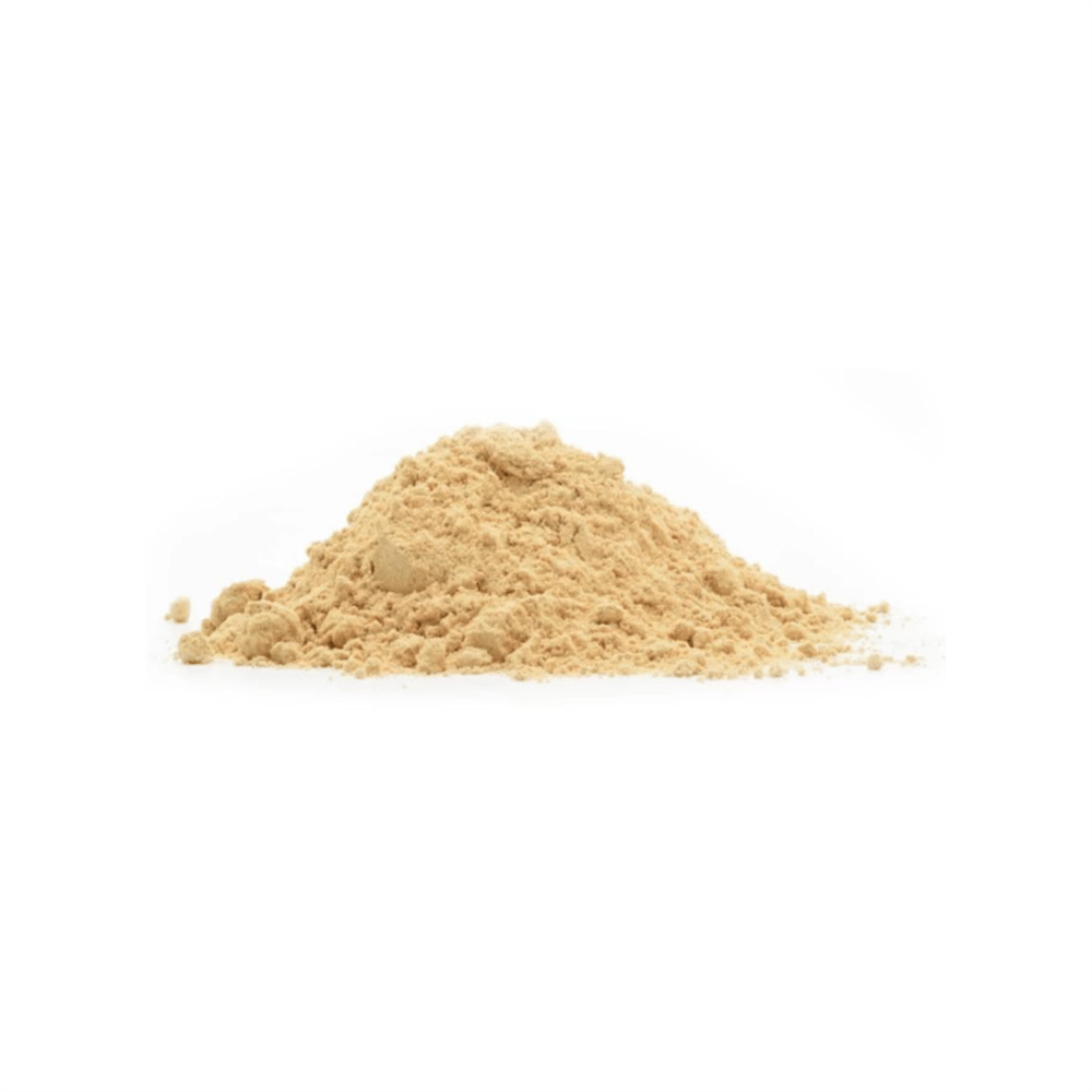 Toz Zencefil 100 gr