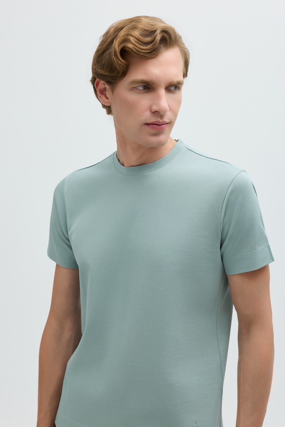 Erkek Açık Yeşil Normal Kesim Regular Fit %100 Pamuk Dokuma Bisiklet Yaka Basic T-Shirt