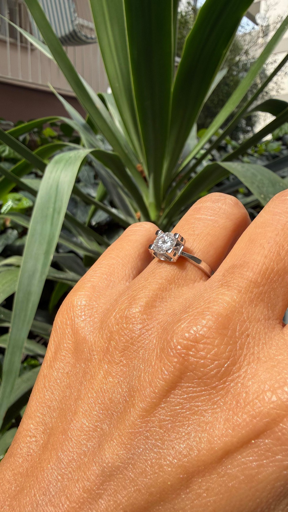 She Said Yes!