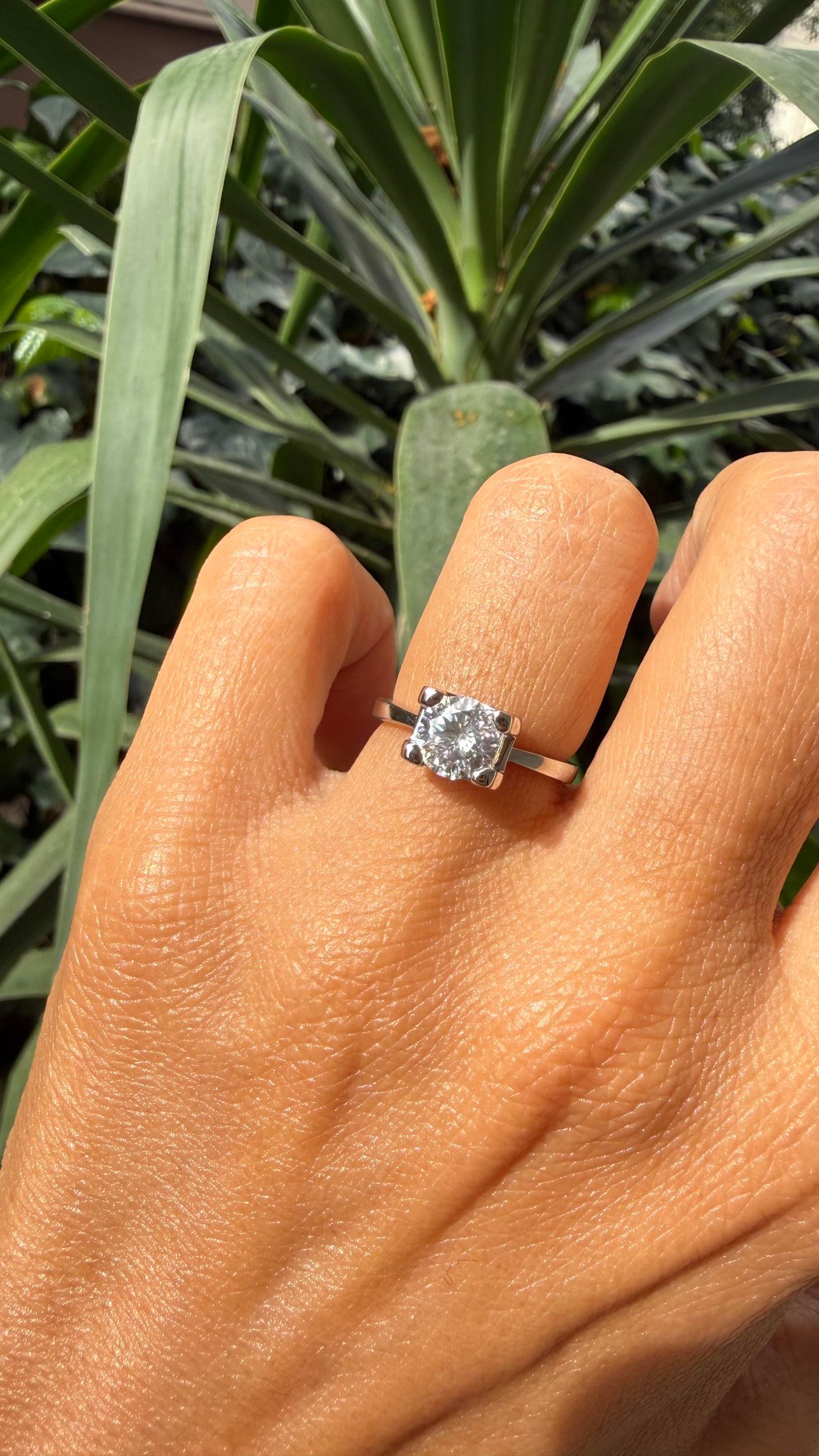 She Said Yes!