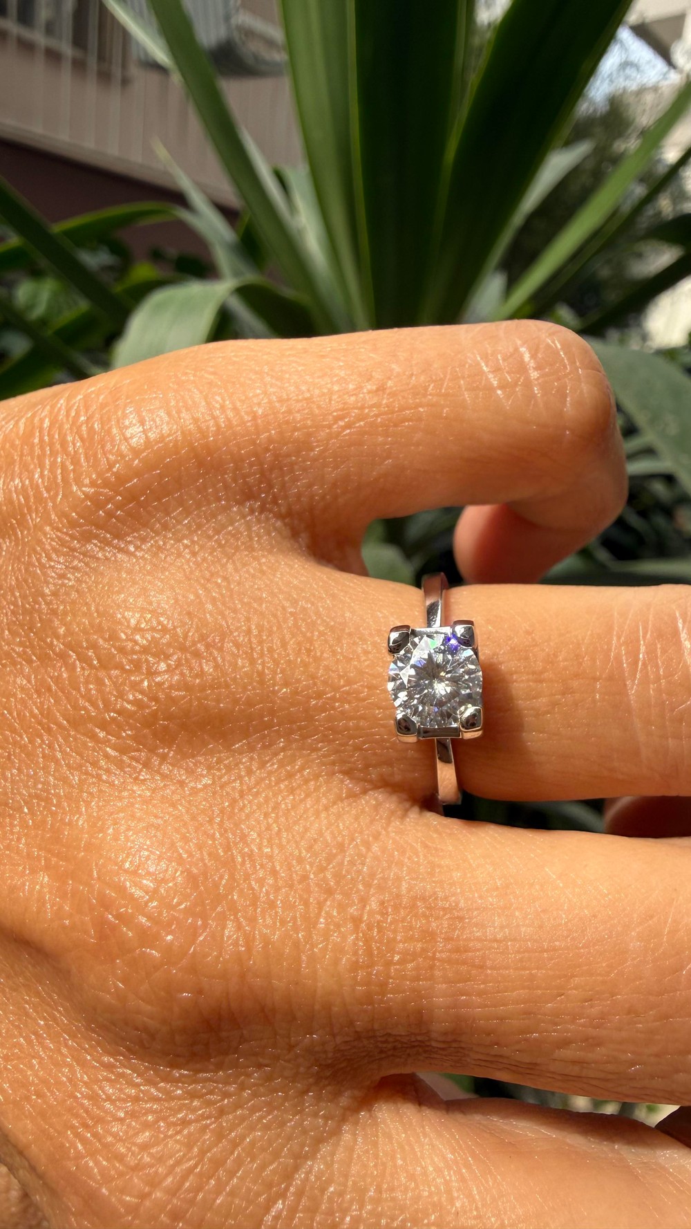 She Said Yes!
