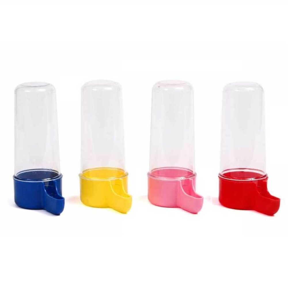 Albatros Kanarya Suluğu