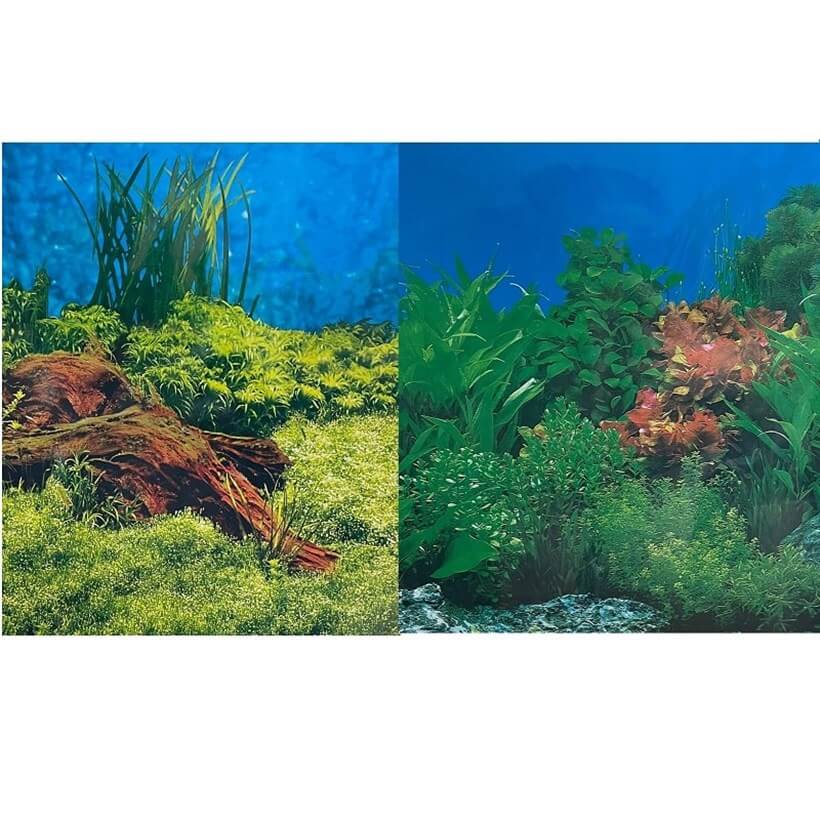 Chicos Çift Yüzlü  Akvaryum Arka Fonu 100x40 Cm