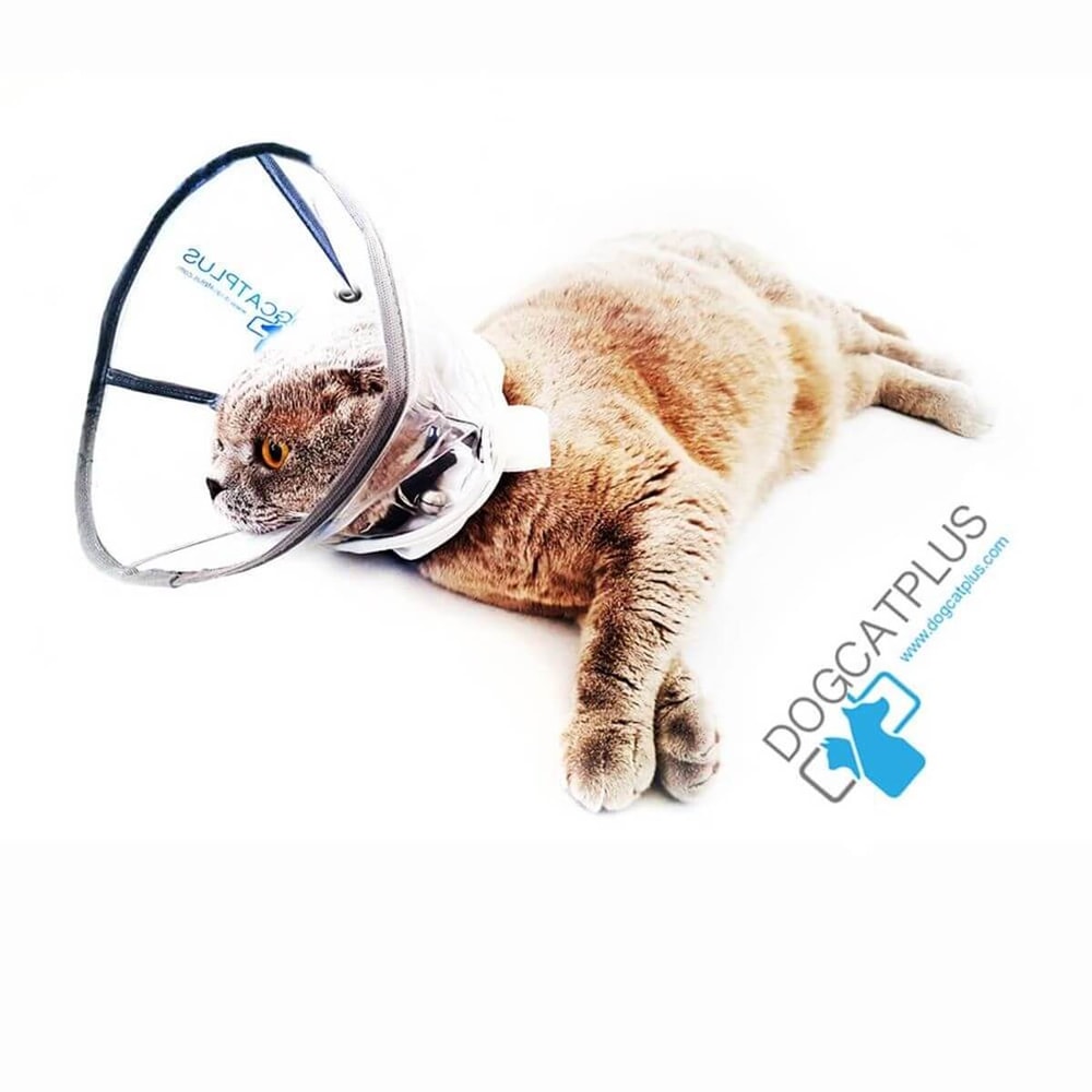 DogCatPlus Elizabeth Şeffaf Yakalık  XSMALL