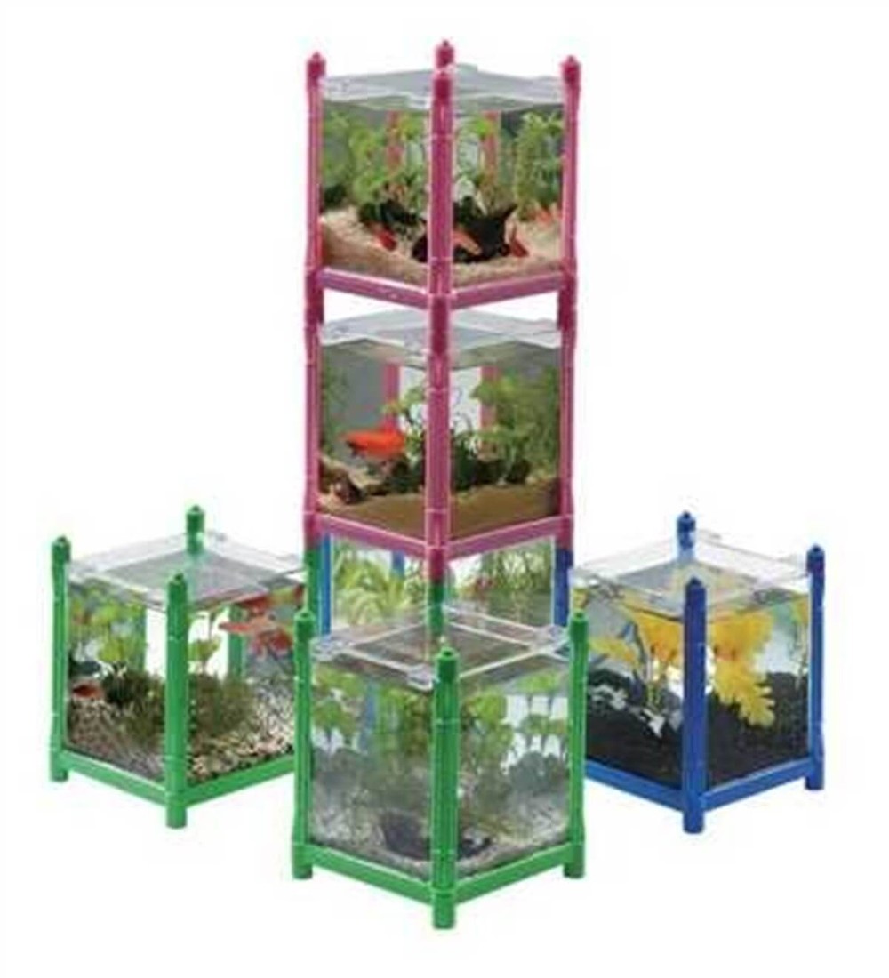 Dolphin Mini Beta Akvaryumu