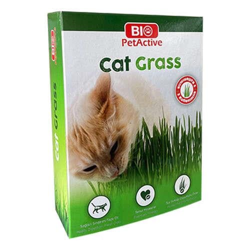 Pet Active Kedi Çimi, Vitamin ve Ek Besinler, PET Active