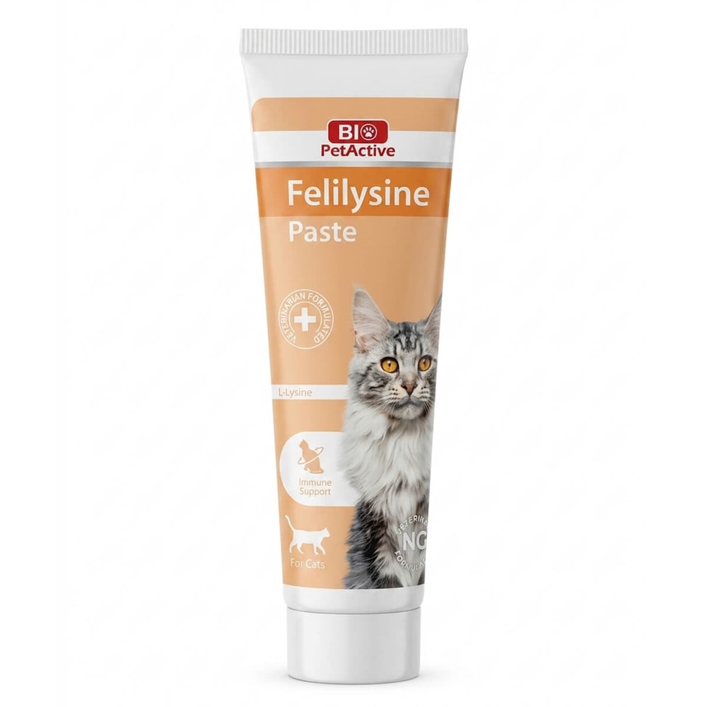 Pet Active Kediler İçin Felilysine Gel 100 Ml, Vitamin ve Ek Besinler, PET Active