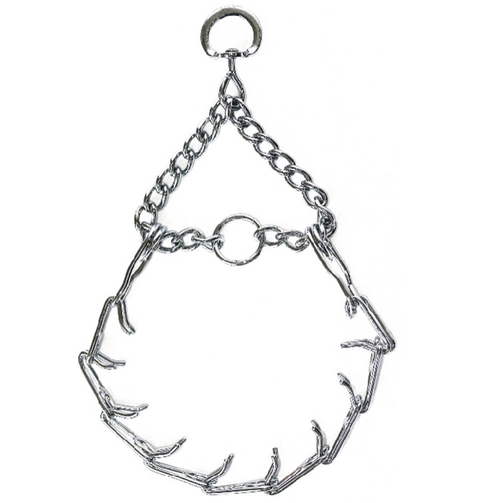 Royalpets Dikenli Eğitim Tasması Large