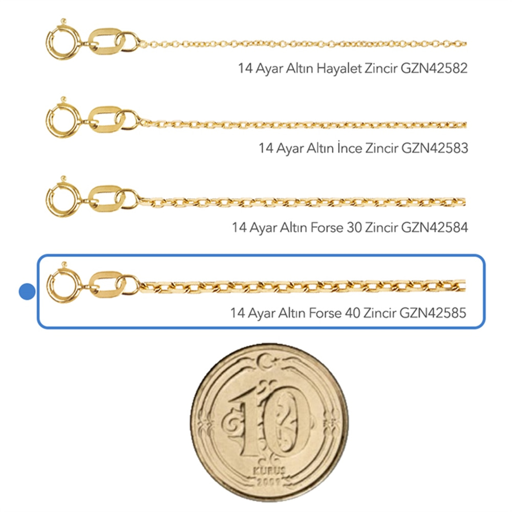 Goldstore-Forse 40 Zincir