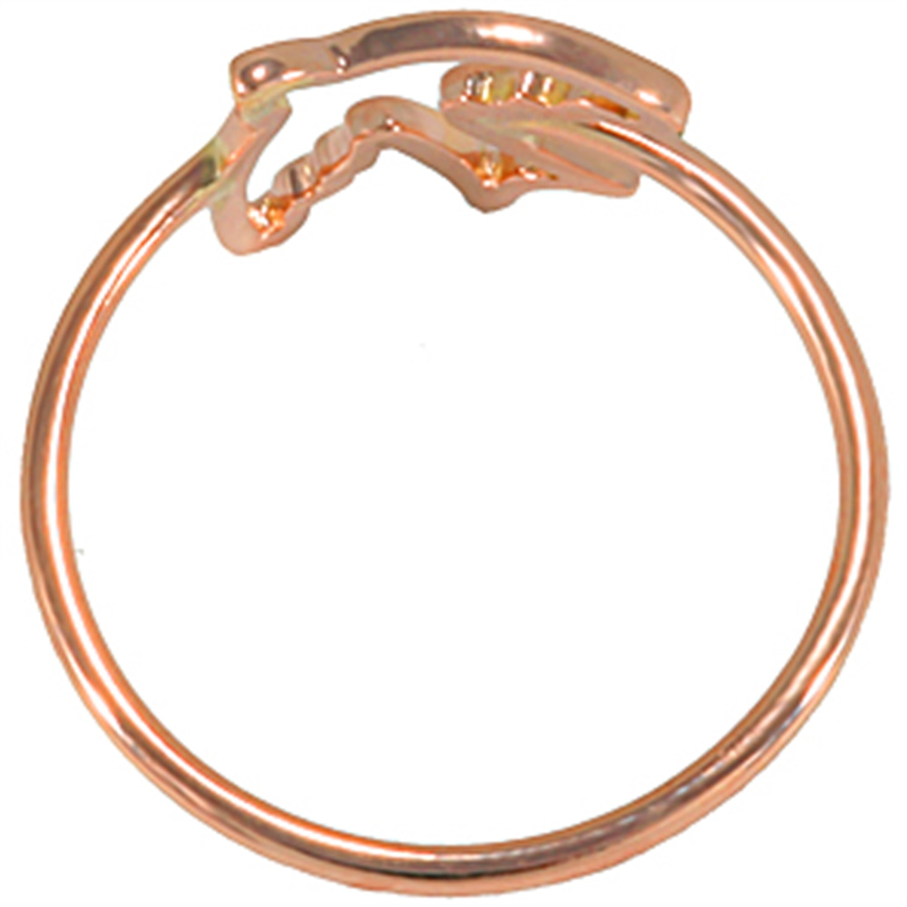 Goldstore-Kuş, Kırlangıç Yüzük