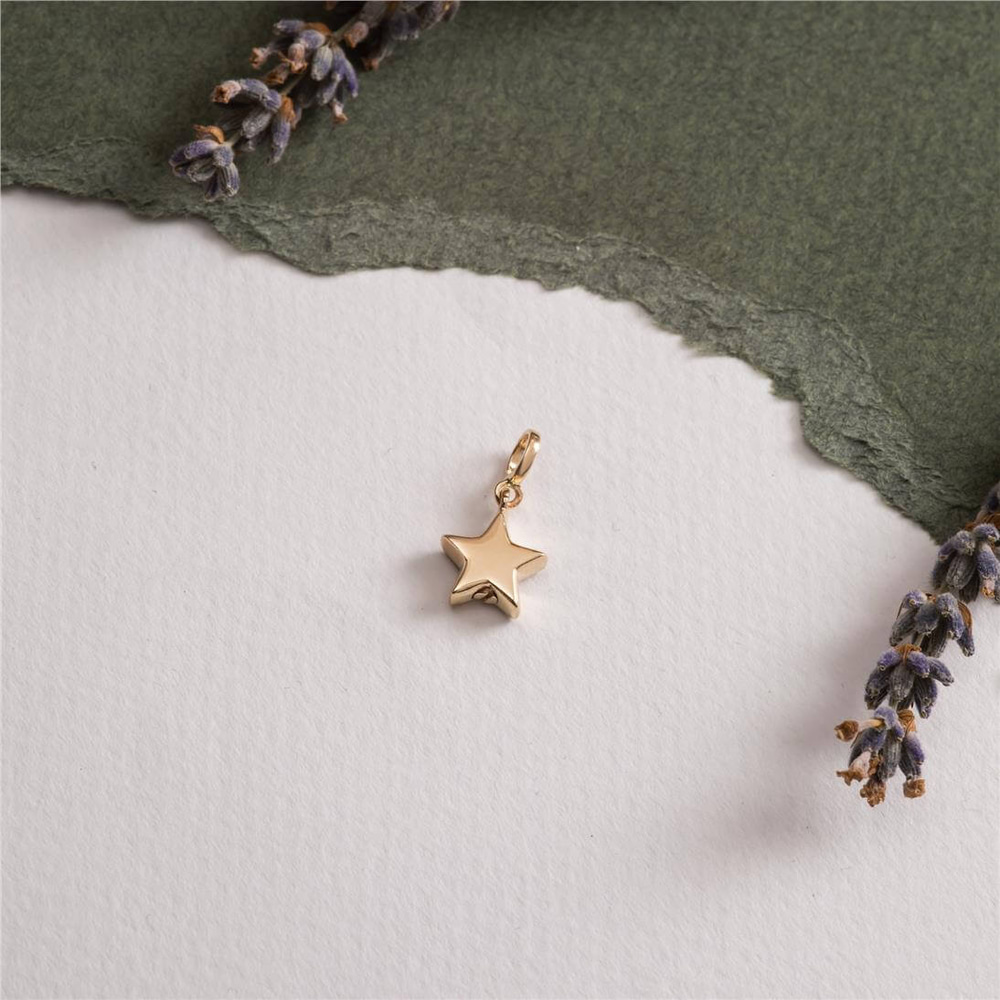 Goldstore-Star Urn Pendant