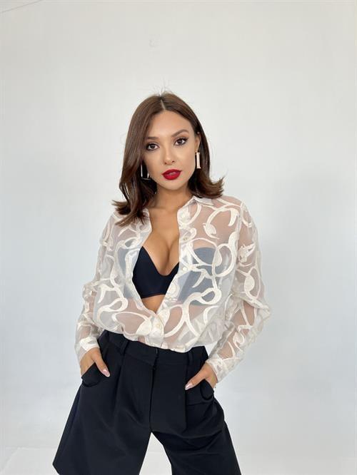 Wholesale Shirts Bologna