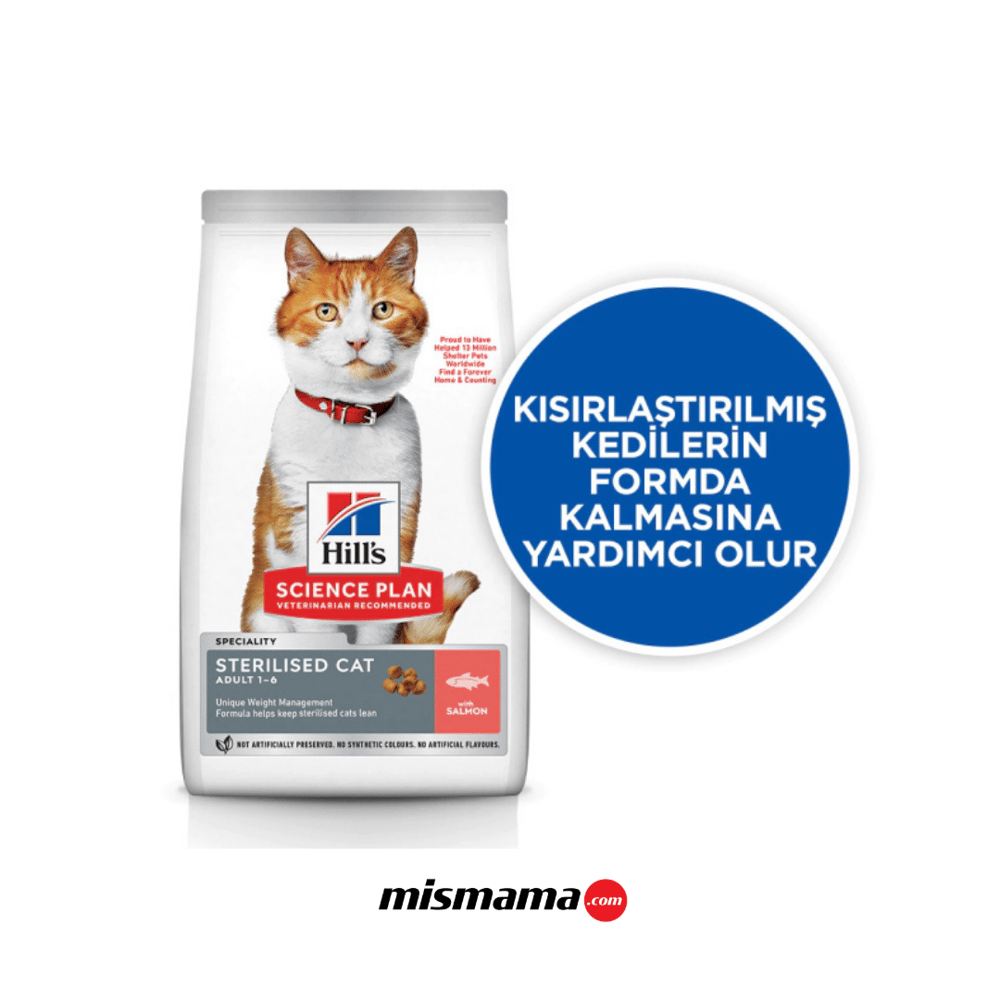 Hill's SCIENCE PLAN Somonlu Yaşlı Kedi Maması 3kg