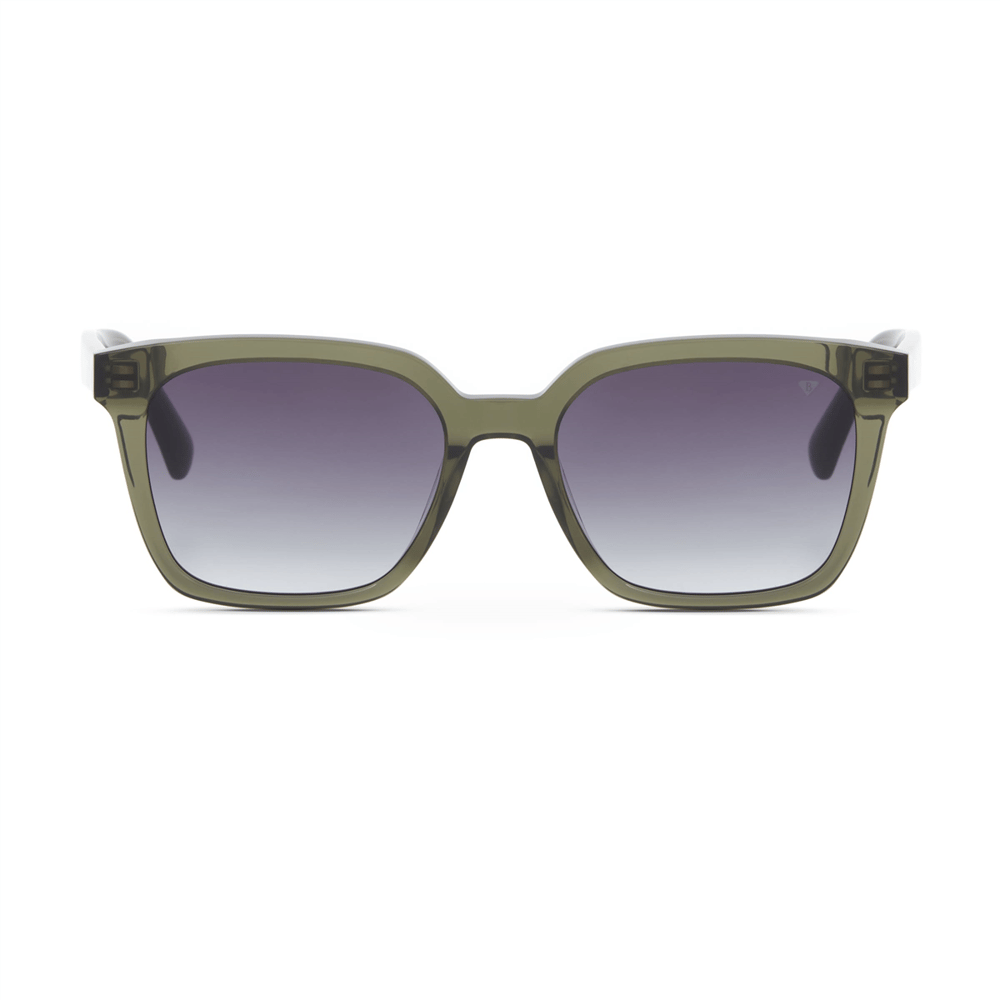 Blancia Milano BC 1331 C3